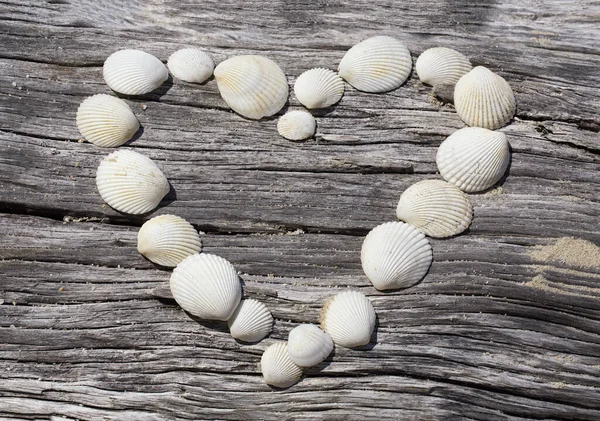 Corazón hecho de conchas de mar en madera de deriva —  Fotos de Stock