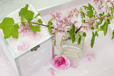 Pembe Çiçeklerle İlkbahar Yaşamı