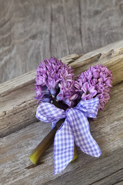 Hyacint bloemen met strik op hout — Stockfoto