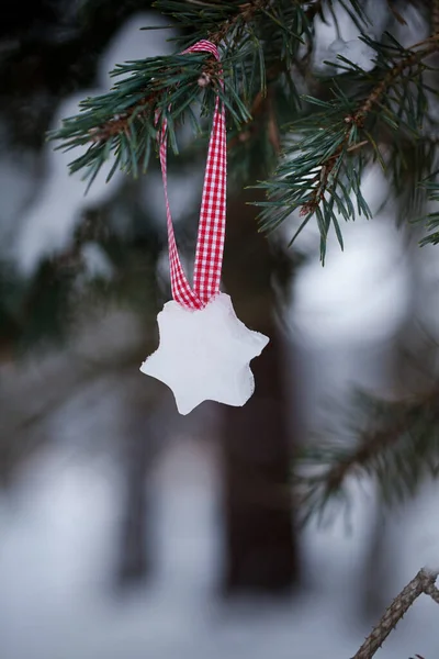 Ornamento di Natale di ghiaccio con ramo di abete — Foto Stock