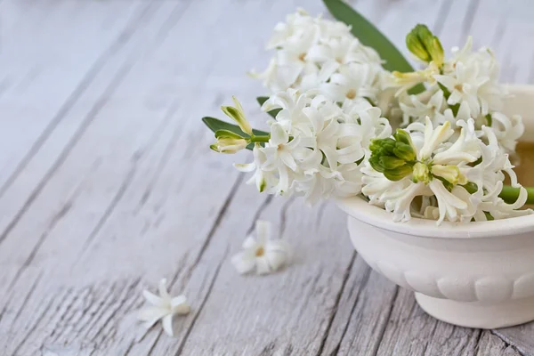 Stillleben mit kleinen weißen Frühlingsblumen — Stockfoto