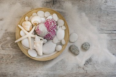 Kalp ile Kıyı Natürmort