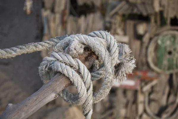 Cuerda del viejo barco atada alrededor de Brench — Foto de Stock