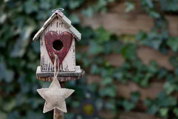 Birdhouse bonito com estrela através da parede da hera — Fotografia de Stock