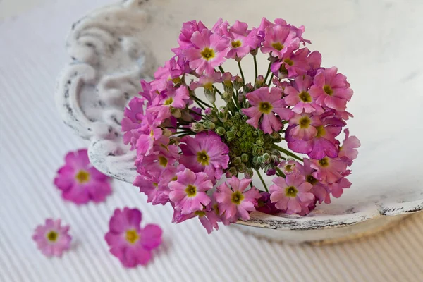 Beyaz Tabakta Minik Pembe Çiçekler — Stok fotoğraf