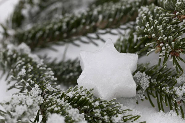 Ornamento di Natale di ghiaccio con ramo di abete — Foto Stock