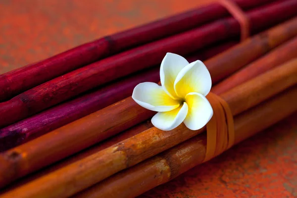 Zen Style Still Life With Plumeria — Stock Photo, Image