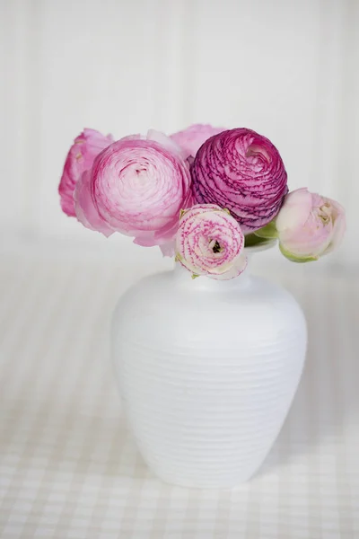 Rosa Ranunculus flor en jarrón — Foto de Stock