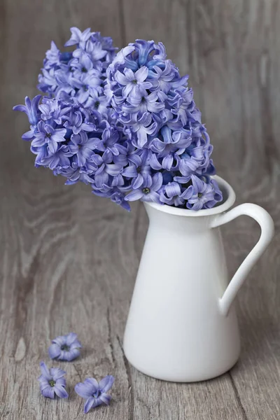히아신스 꽃을 동반한 정물화 — 스톡 사진