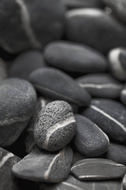 Tek beyaz çizgili siyah çakıl taşı seçimi