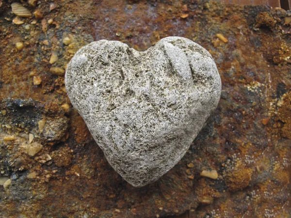 Single Heart Shaped Pebble On Rock — Stockfoto