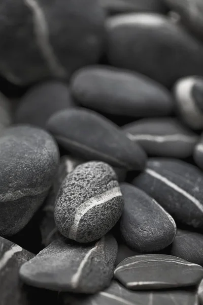 Selection Of Black Pebble With A Single White Stripe — Stock Photo, Image