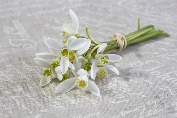 Flor de Galanthus em tecido de linho — Fotografia de Stock