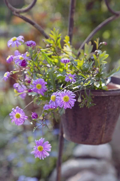 Vintage Topf mit Frühlingsblumen — Stockfoto