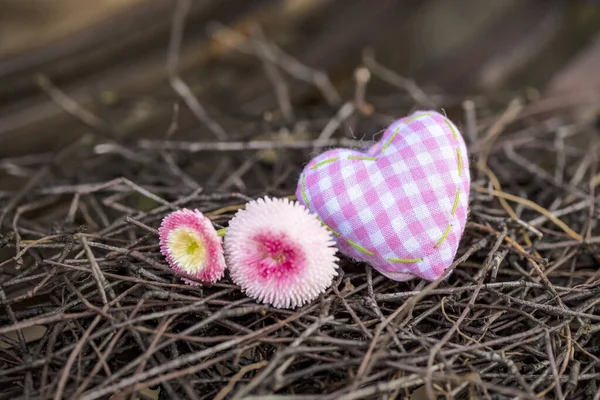 Pink Heart And Daisy Flowers — Stockfoto