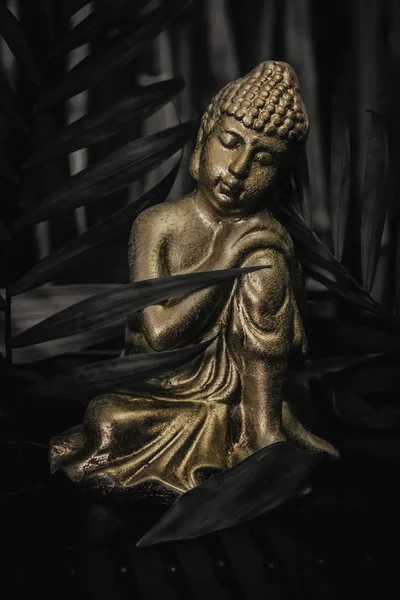 Estátua Buda Dourada Através Folhas Palma Preta Imagem Espiritual Perfeita — Fotografia de Stock