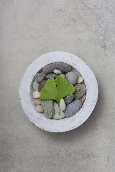 Zen Stijl Stilleven Met Kiezelsteen Enkele Groene Gingko Blad — Stockfoto