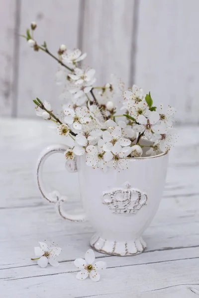 怀旧茶杯中的白樱花 完美的贺卡 日历或礼品袋 — 图库照片