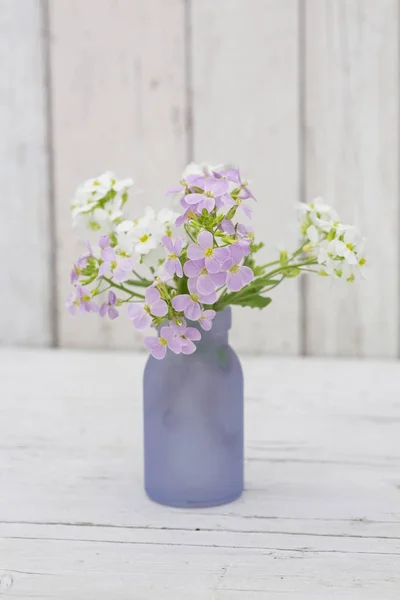 Minúsculas Flores Primavera Cores Roxas Pastel Macio Vaso Fundo Branco — Fotografia de Stock