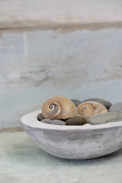 Maritime Decoration In Conrete Bowl — Stock Fotó