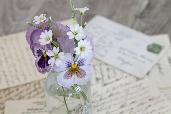 Nostálgico Ainda Vida Com Pastel Roxo Pansie Flores Pequena Garrafa — Fotografia de Stock