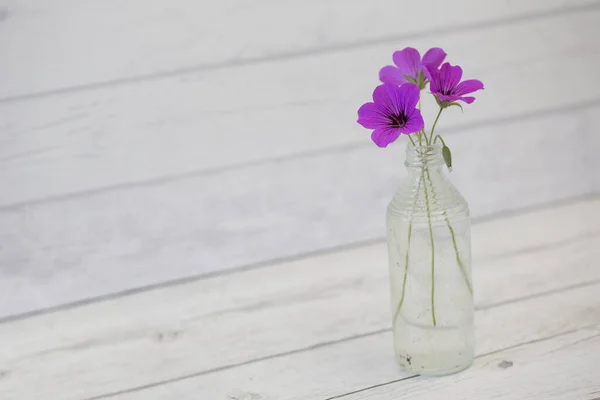Delcate Kleine Roze Bloemen Een Kleine Glazen Fles Wit Hout — Stockfoto