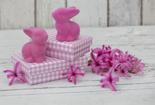 Bodegón Con Pequeñas Cajas Regalo Cuadros Rosadas Flor Jacinto Lindos — Foto de Stock