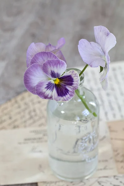 Bodegón Nostálgico Con Flores Pansie Color Púrpura Pastel Pequeña Botella —  Fotos de Stock