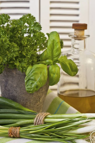 Świeże Zielone Zioła Idealne Gotowania Kuchni Kuchni Projektów — Zdjęcie stockowe