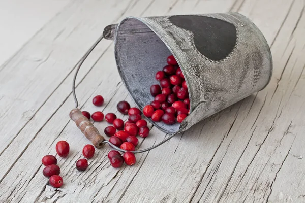 Still Life Fresh Red Cranberries Vintage Tin Bucket Heart — Stock Photo, Image