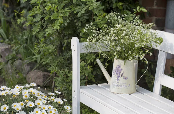 Delicato Prezzemolo Bianco Mucca Una Tazza Vintage Panca Bianca Perfetto — Foto Stock