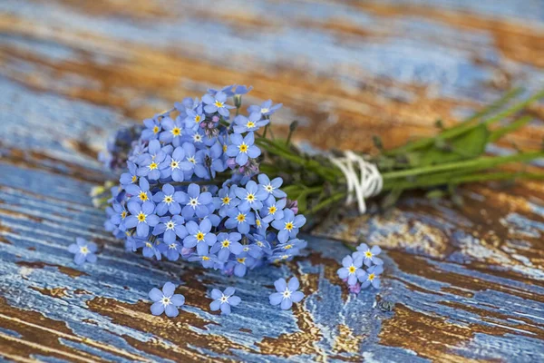 Blauw Vergeet me niet bloemen op hout — Stockfoto