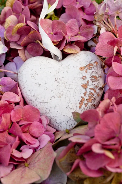 Valentines Heart On Hydragena Blossom — Stock Photo, Image