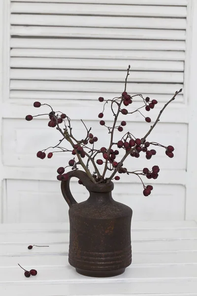 Rustic Autumn Still Life Berry Twigs Brown Vase White Wooden — Stock Photo, Image