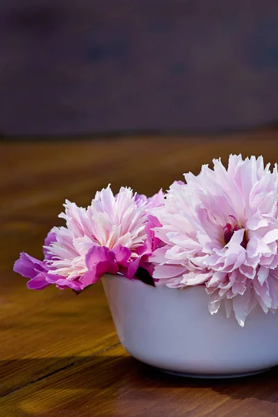 Still Life Pink Peonies White Bowl — Stock Photo, Image