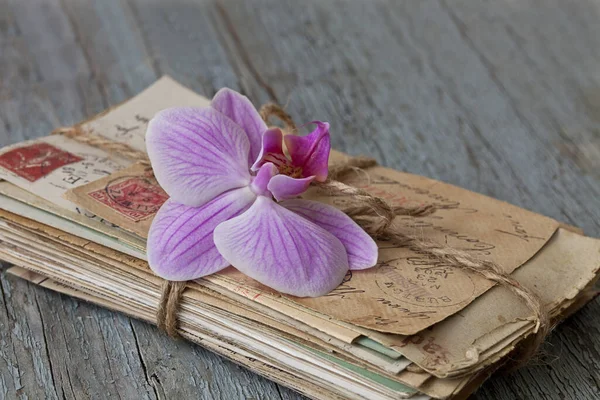 Estilo Vintage Bodegón Con Paquete Letras Manuscritas Antiguas Orquídea Madera —  Fotos de Stock