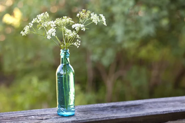 Λεπτή Λευκό Λιβάδι Μαϊντανός Ένα Πράσινο Μπουκάλι Όλη Βλάστηση — Φωτογραφία Αρχείου