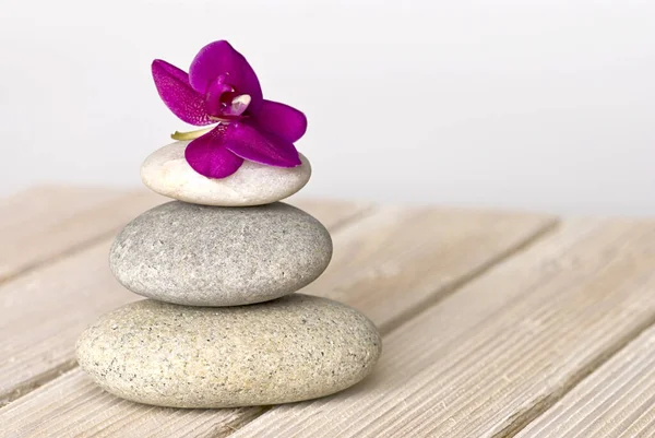 Zen Style Still Life Pink Orchid Flowers Stone Cairn Wooden — Stock Photo, Image