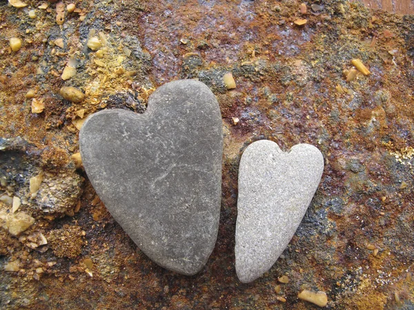 Coppia Ciottoli Forma Cuore Liscio Rocce Spiaggia — Foto Stock