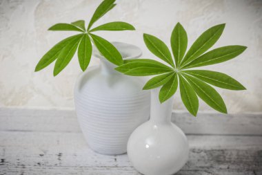 Yeşil lupin yapraklı ve vazolu bir hayat