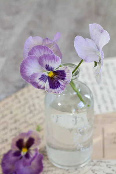 Bodegón Nostálgico Con Flores Pansie Color Púrpura Pastel Botella Pequeña —  Fotos de Stock