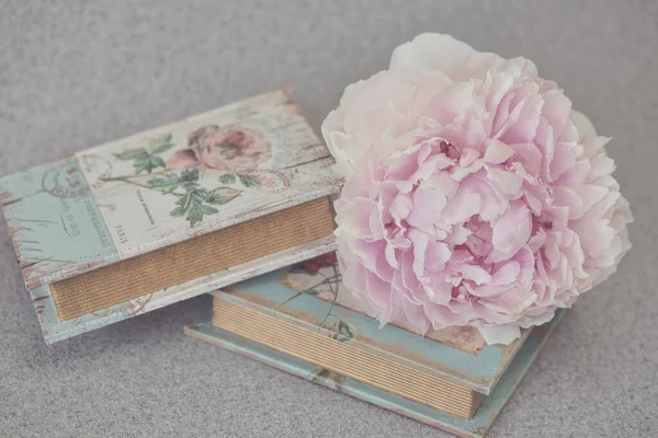 Stilleven Met Bloeiende Roze Pioen Decoratie Boek Objecten Perfect Voor — Stockfoto