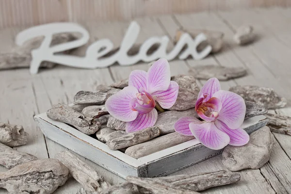 Zen Стиль Натюрморт Розовыми Цветами Орхидеи Колючая Древесина Слово Расслабиться — стоковое фото