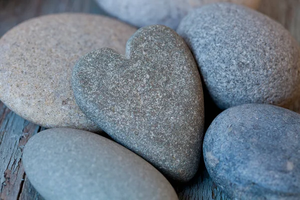 Selection Smooth Grey Pebble One Heart Shaped — Stock Photo, Image