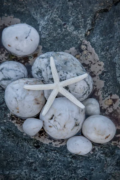 Deniz Yıldızı Sahildeki Beyaz Çakıl Taşına Yaklaş — Stok fotoğraf