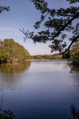 Yalnız orman gölü, bir doğa koruma alanında. Danimarka 'nın Bornholm adasına yaptığı gezide yakalandı.