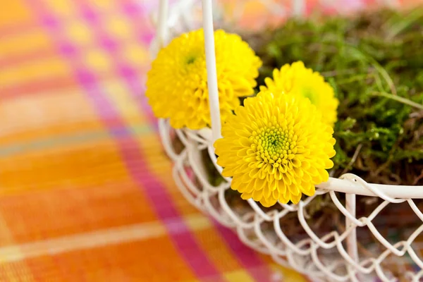 Stillleben Mit Gelben Blumen Einem Drahtkorb Perfekt Für Eine Grußkarte — Stockfoto