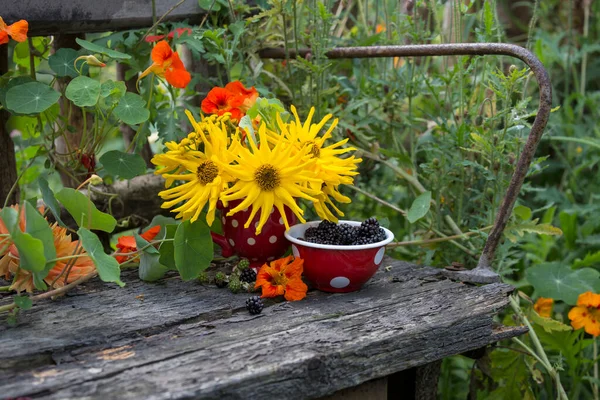 秋天的花朵依然生机勃勃 黑莓在陈腐的悲伤木长椅上的搪瓷碗里 — 图库照片