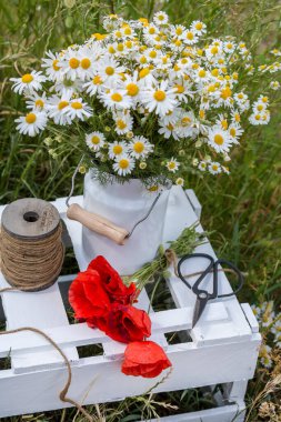Haşhaş ve papatya çiçekleriyle dolu klasik bir açık hava hayatı. Bir tebrik kartı, hediye paketi veya takvim resmi için mükemmel.