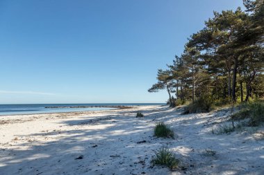 Issız, sığ kumlu bir sahil sakin sulu açık mavi gökyüzü ile aydınlık bir bahar günü, Danimarka 'nın Bornholm adasına yaptığı gezide yakalandı.